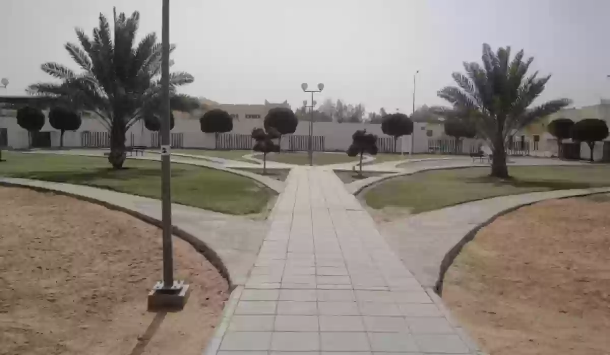 دليلك إلى حي النزهة في الرياض 2024